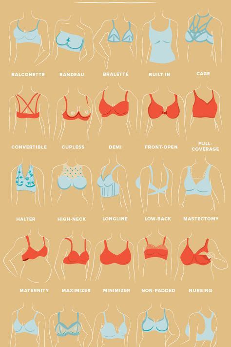 o cup titties|The 10 Types of Boobs — Heres What to Know, According to Ob。